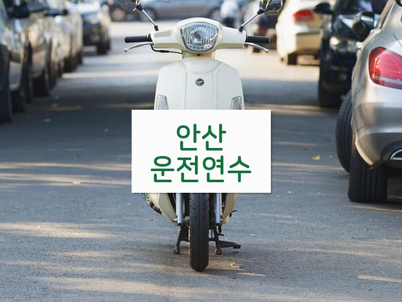 안산운전연수 후기