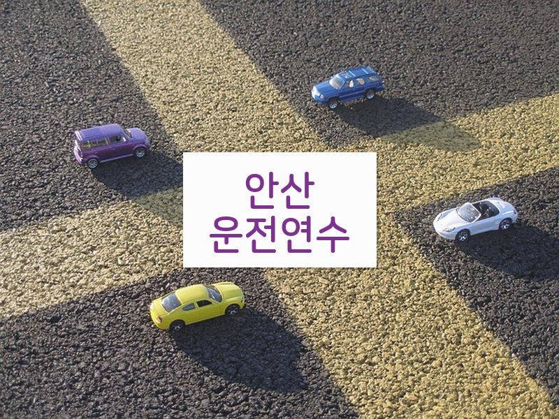 안산운전연수 후기