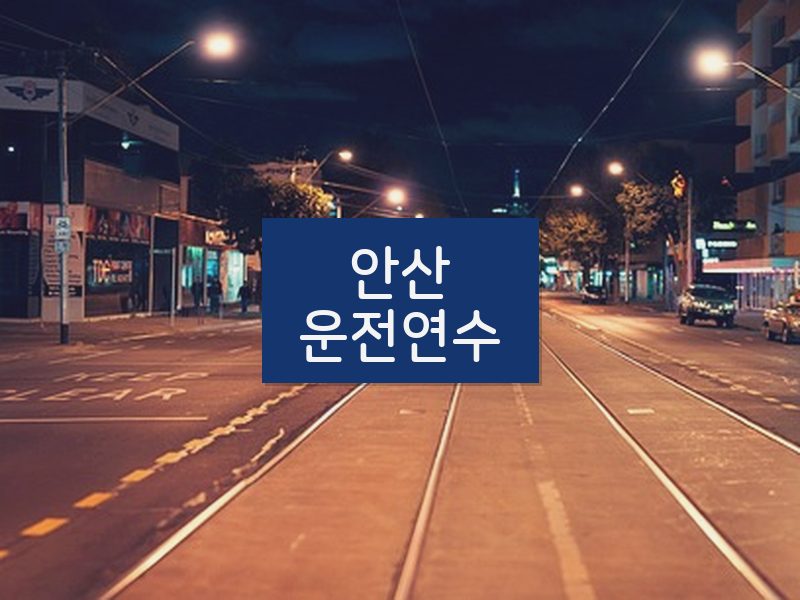 안산운전연수 후기