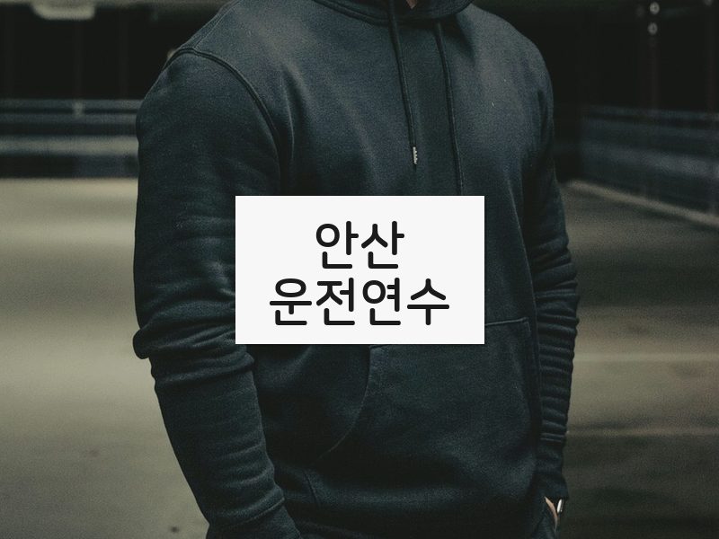 안산운전연수 후기