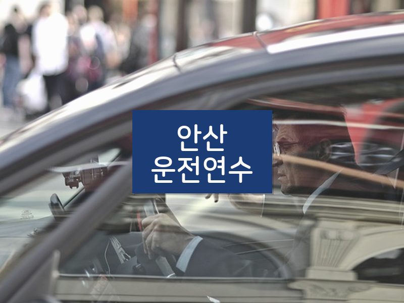 안산운전연수 후기