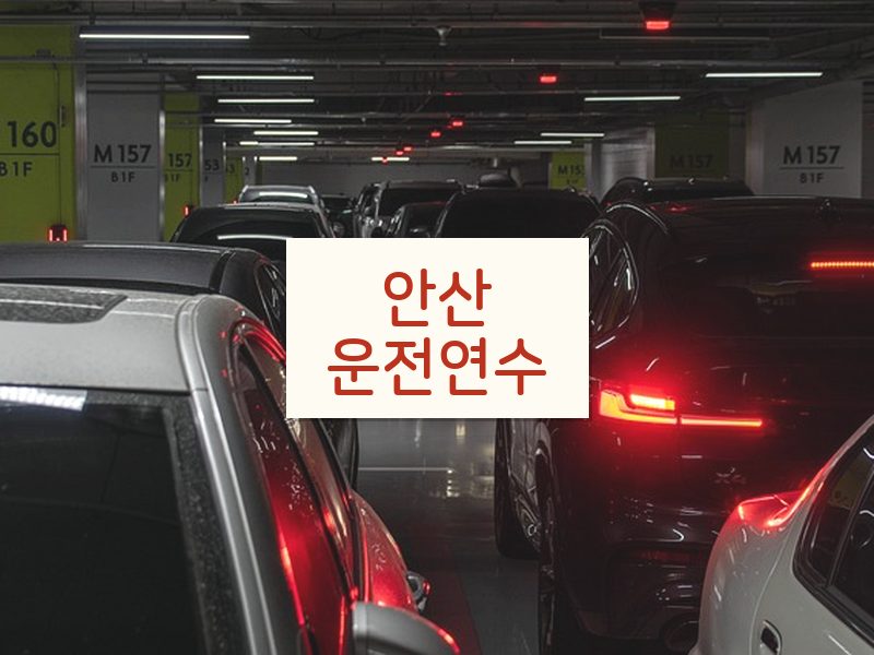 안산운전연수 후기