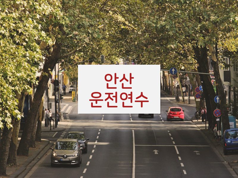 안산운전연수 후기