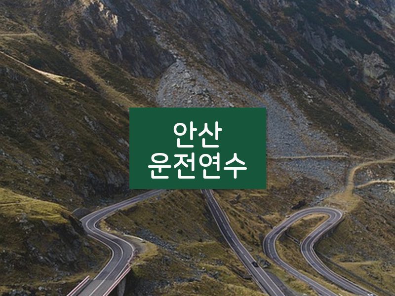 안산운전연수 후기