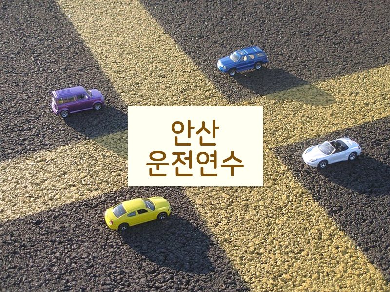 안산운전연수 후기