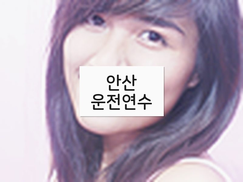 안산운전연수 후기