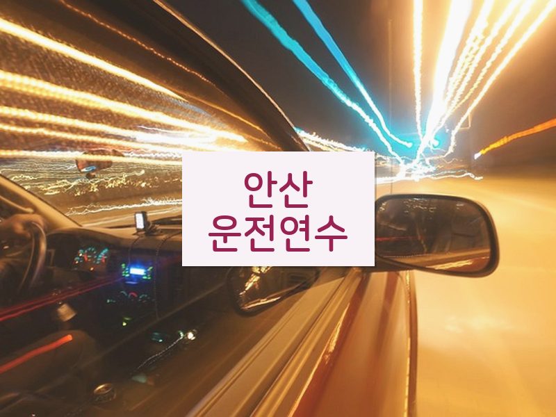 안산운전연수 후기