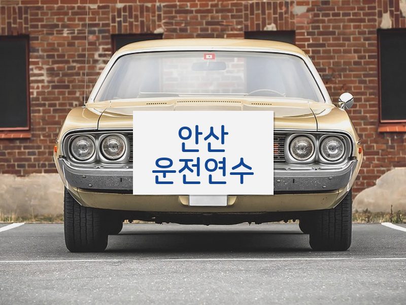 안산운전연수 후기