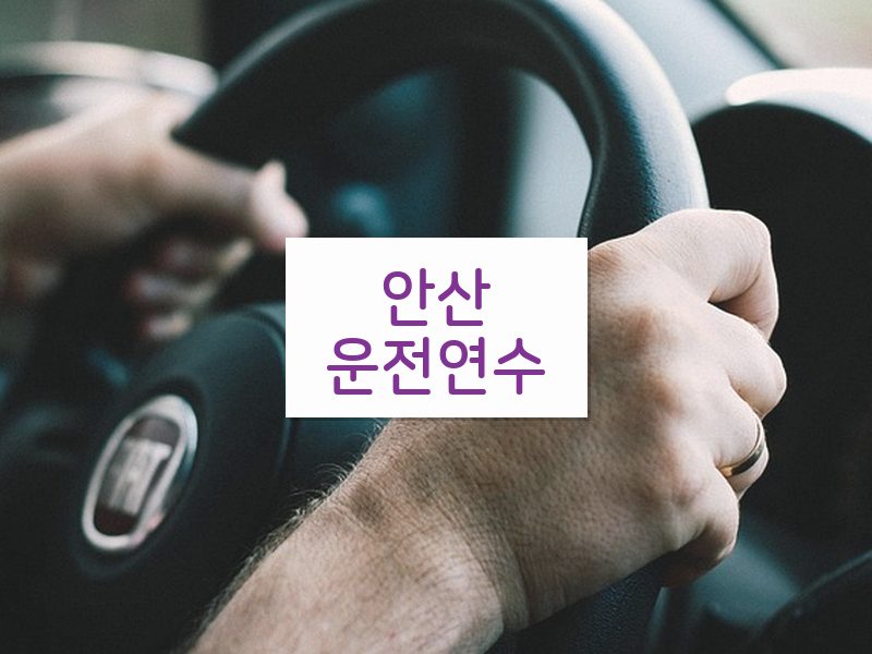 안산운전연수 후기