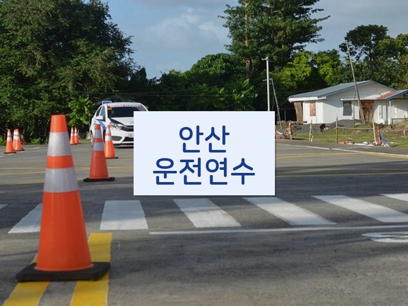 안산운전연수 후기