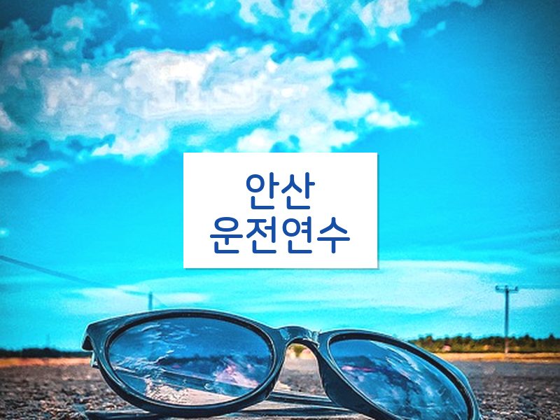 안산운전연수 후기