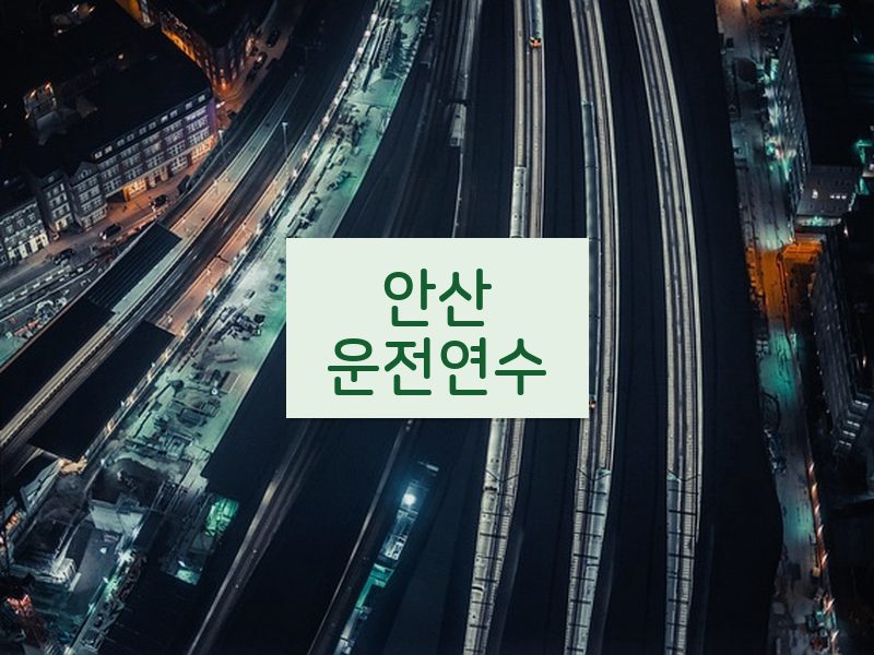 안산운전연수 후기
