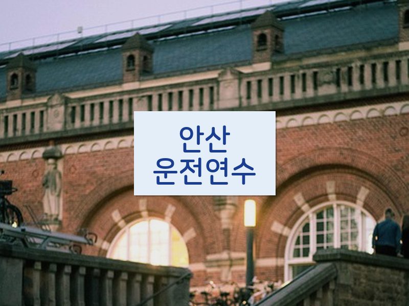 안산운전연수 후기