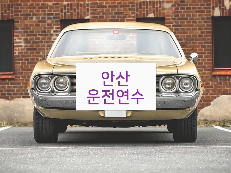 안산운전연수 후기