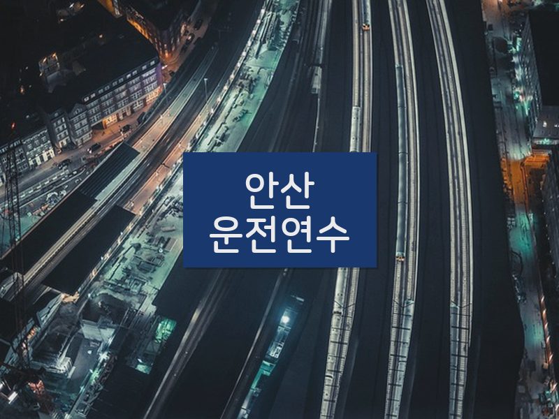 안산운전연수 후기