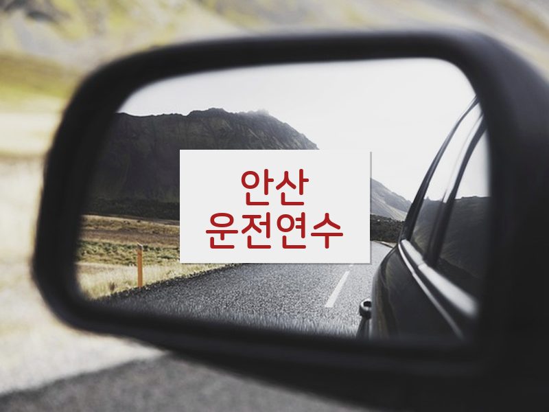 안산운전연수 후기
