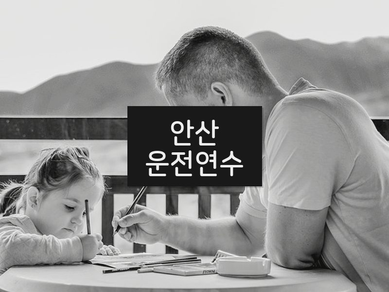 안산운전연수 후기