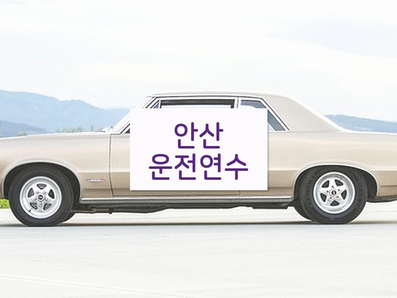안산운전연수 후기