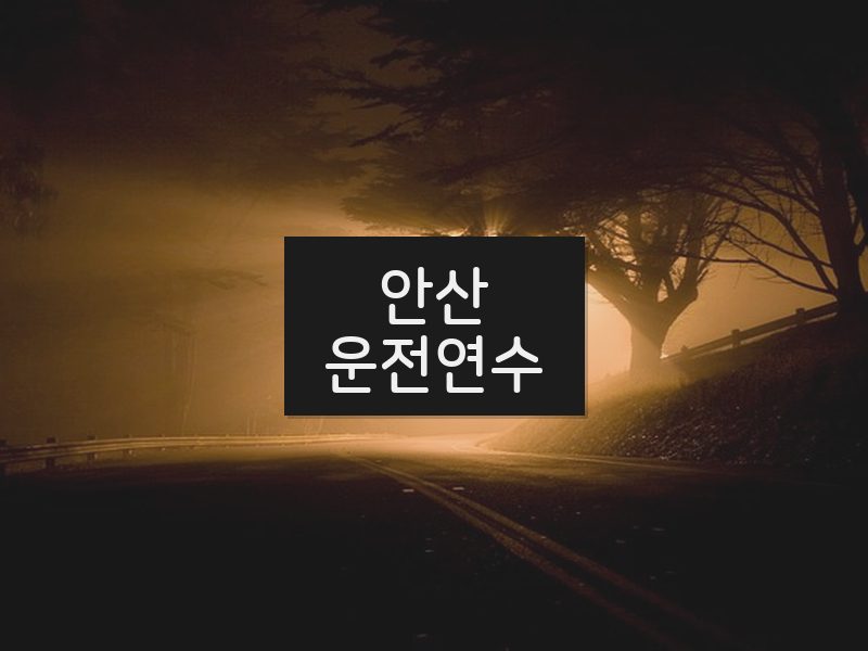 안산운전연수 후기