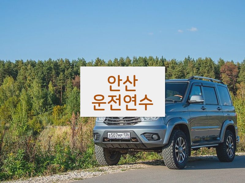 안산운전연수 후기