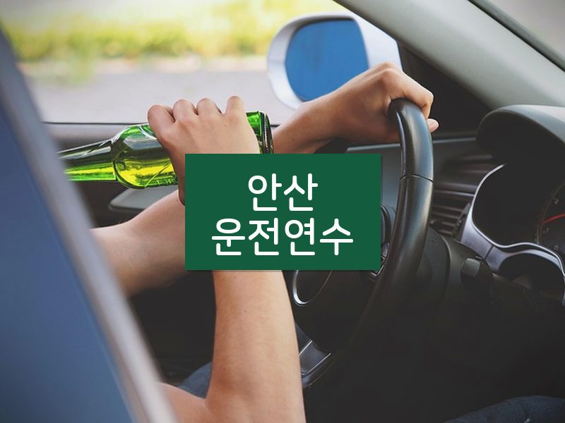 안산운전연수 후기