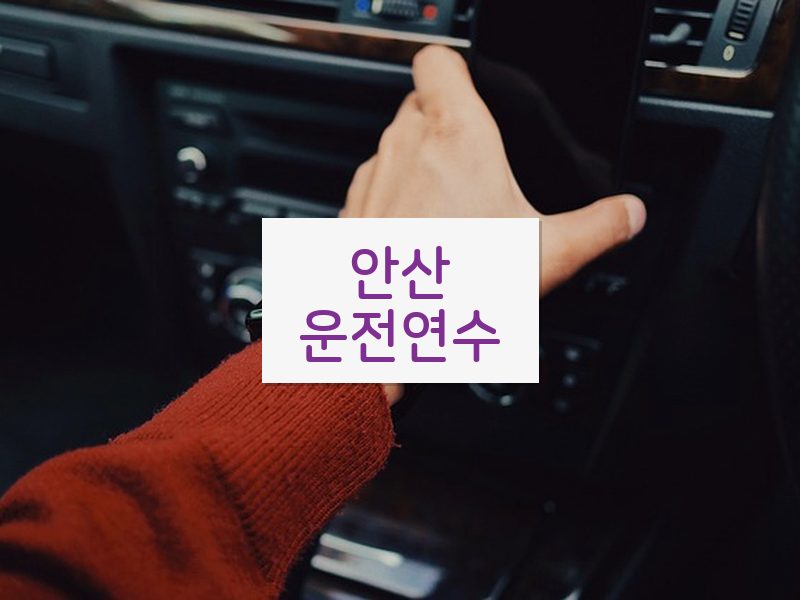 안산운전연수 후기