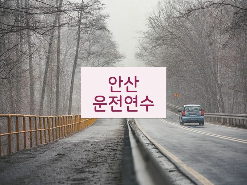 안산운전연수 후기