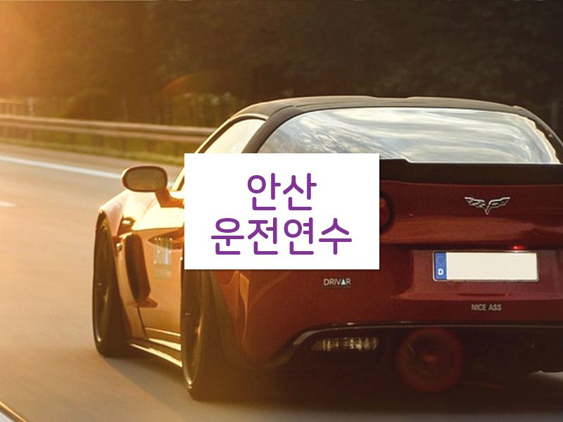 안산운전연수 후기