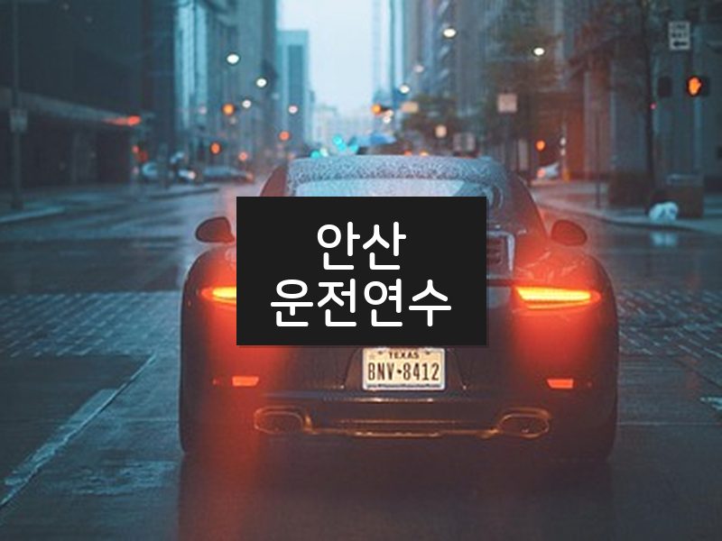 안산운전연수 후기