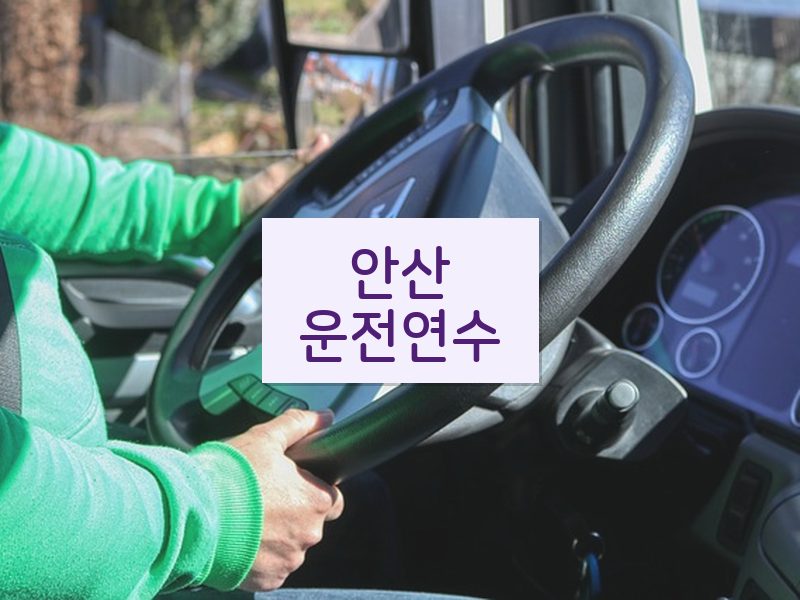 안산운전연수 후기