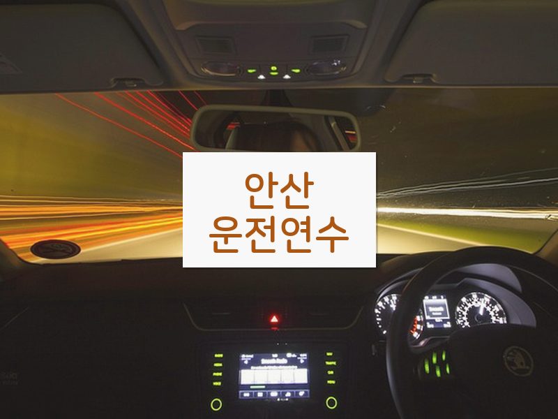 안산운전연수 후기