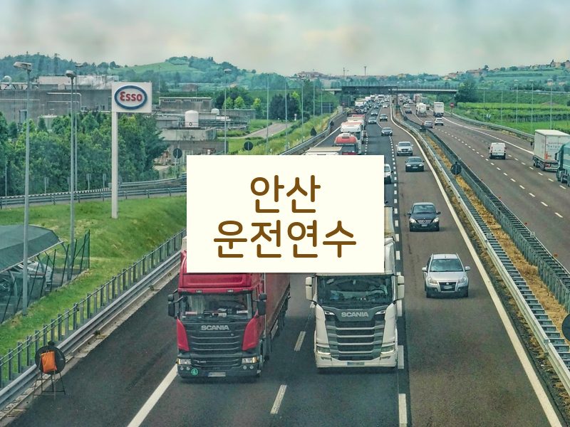 안산운전연수 후기