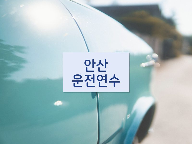 안산운전연수 후기