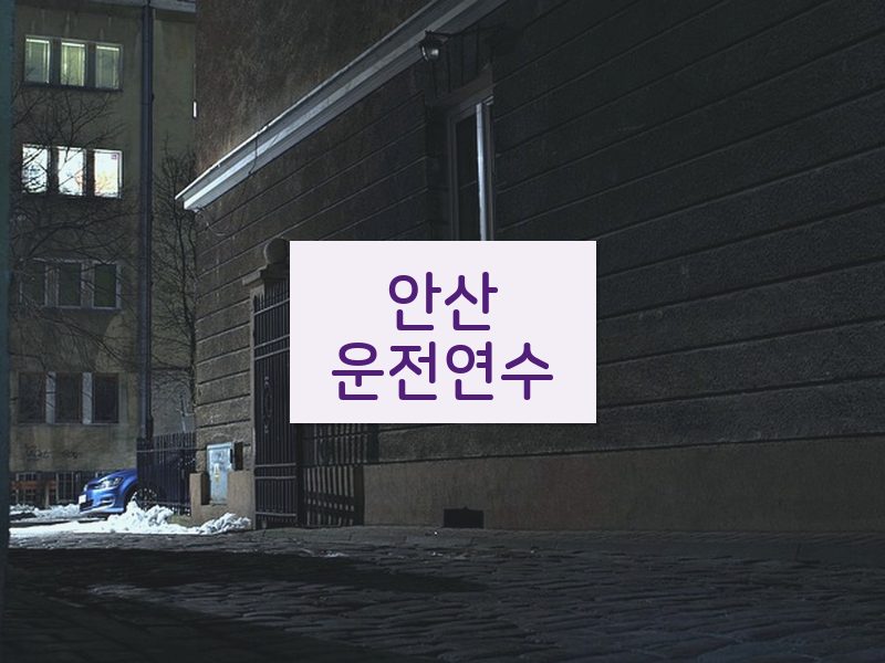 안산운전연수 후기