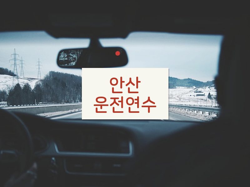 안산운전연수 후기