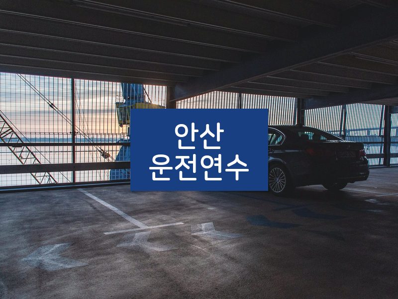 안산운전연수 후기