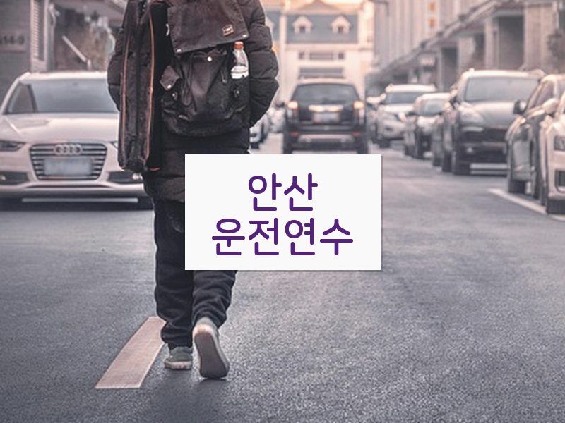 안산운전연수 후기