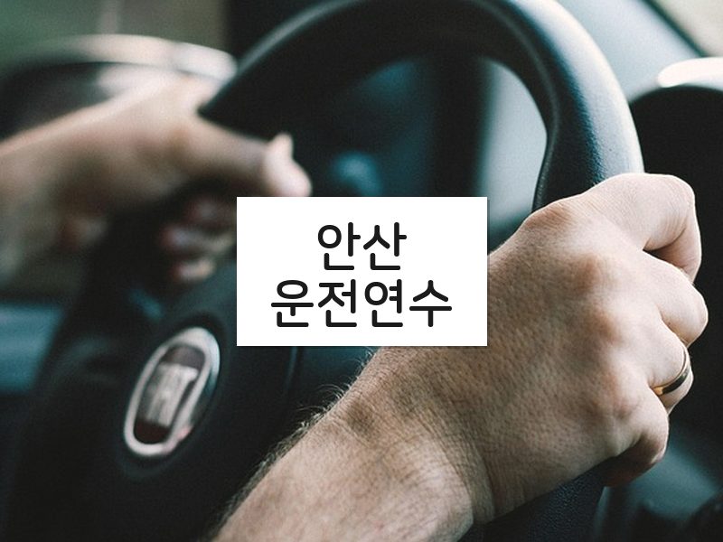 안산운전연수 후기