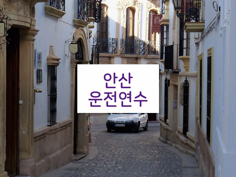 안산운전연수 후기