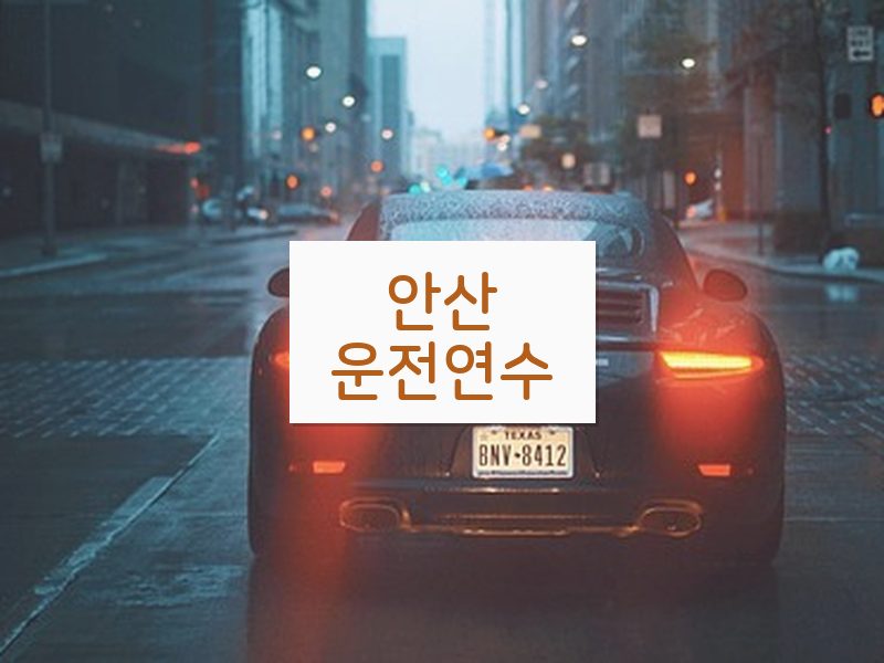 안산운전연수 후기