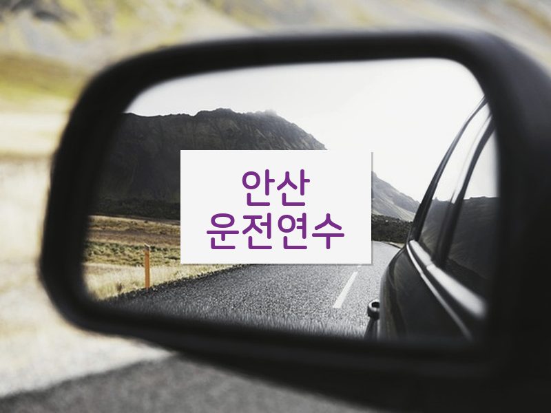 안산운전연수 후기