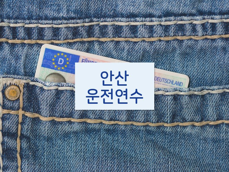 안산운전연수 후기