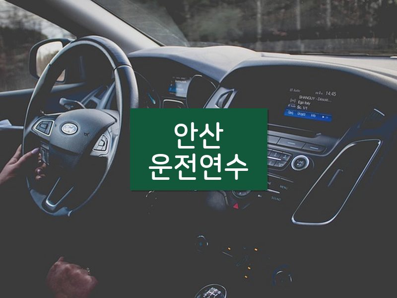 안산운전연수 후기