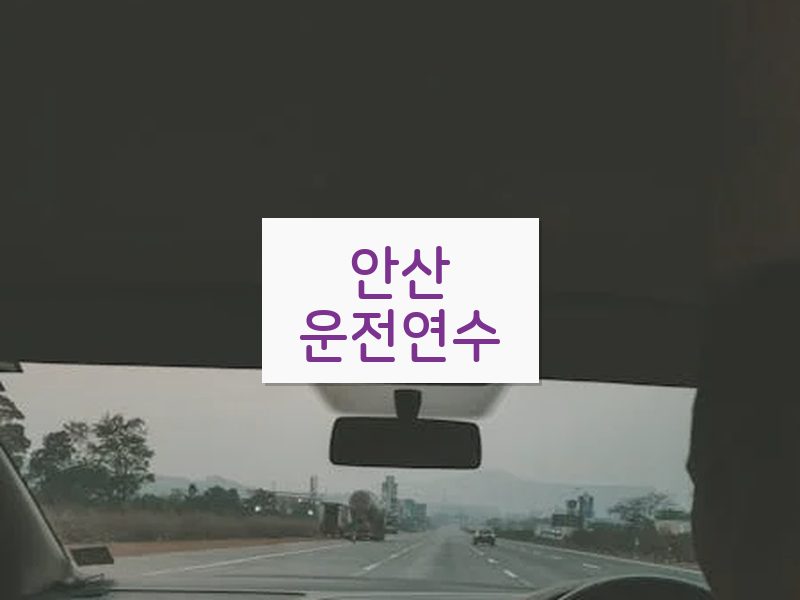 안산운전연수 후기