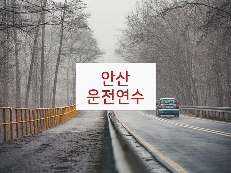 안산운전연수 후기