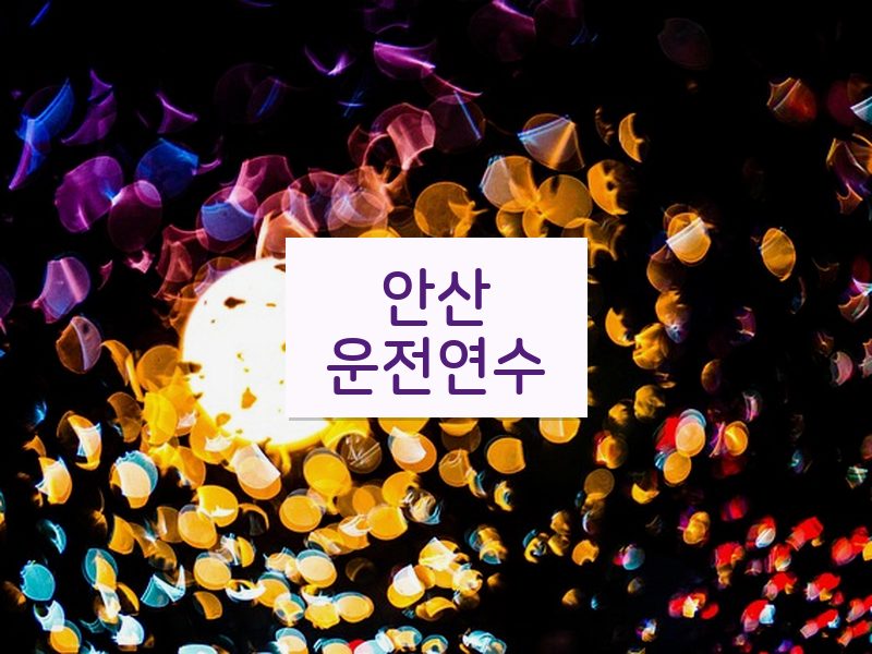 안산운전연수 후기