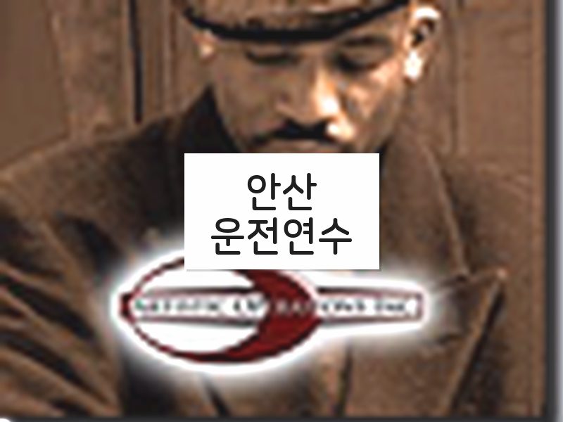 안산운전연수 후기
