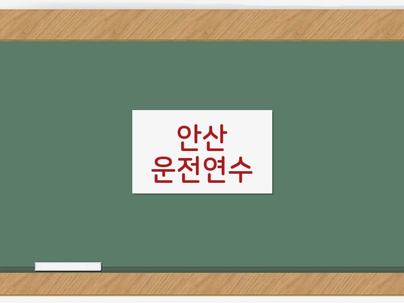 안산운전연수 후기