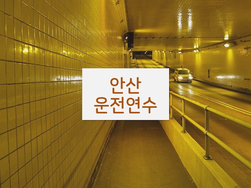 안산운전연수 후기