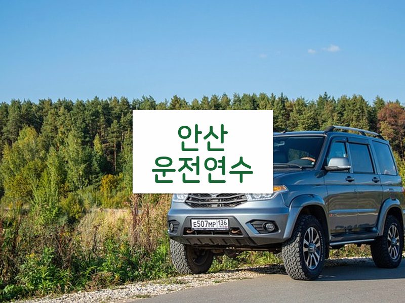 안산운전연수 후기